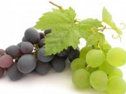Sức khỏe - Lợi ích sức khỏe của việc ăn nho