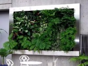 Nhà đẹp - Khắp thế giới phát sốt với trào lưu 'đào tường trồng cây'