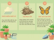 Nhà đẹp - 30 mẹo vặt giúp bạn làm vườn “dễ thở” hơn (phần 2)