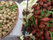 Mua sắm - Giá cả - Dân sợ "hàng Tàu", hoa quả Thái Lan tràn ngập HN