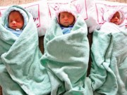 Tin tức - Ca sinh ba bé gái cùng trứng hiếm gặp ở Nghệ An