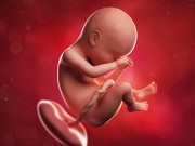 Bà bầu - Nhau thai là gì?