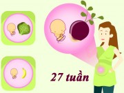Bà bầu - Cân nặng, chiều dài chuẩn của thai nhi theo từng tuần thai