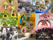 Nhà đẹp - “Thiên biến vạn hóa” đồ vật quanh nhà để... gieo hạt, trồng cây