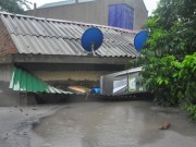 Tin tức - "Chưa bao giờ thấy trận 'đại hồng thủy' nào kinh hoàng đến thế"