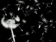 Eva tám - Lỗi do định mệnh