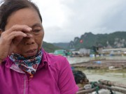 Tin tức - Quảng Ninh: Nước mắt ngư phủ hòa vào biển cả