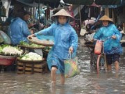 Tin tức - Chuyên gia hướng dẫn cách phòng bệnh mùa mưa lũ