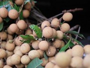 Bếp Eva - Nhãn lồng đầu mùa ngon ngọt