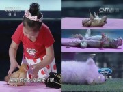Clip Eva - Bé gái Trung Quốc có khả năng thôi miên động vật