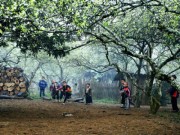 Eva tám - Câu chuyện ký ức giữa những bàn tán cộng điểm