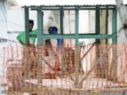 Tin tức - Giám đốc WHO: Sẽ không còn dịch Ebola từ cuối năm 2015