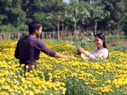 Nhà đẹp - Đối lập nhà sang, kẻ khó tại miền quê Nam Trung Bộ