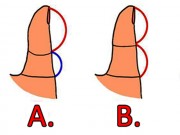 Eva Yêu - Đoán tính cách qua đặc điểm ngón tay cái