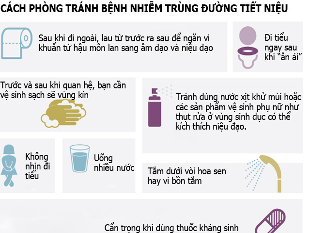 Những điều nên biết về bệnh nhiễm trùng đường tiết niệu