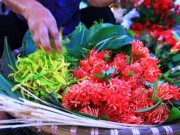 Nhà đẹp - Những loại hoa nào không dâng cúng trên bàn thờ?