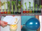 Làm mẹ - Dạy con thông minh bằng thí nghiệm vui cực dễ tại nhà