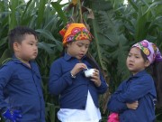 Làm mẹ - Tập 11 Bố ơi mùa 2: Trải nghiệm cho bò ăn cỏ ở cao nguyên Mộc Châu