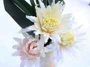 Bếp Eva - Cách tỉa hoa từ tỏi tây vô cùng đẹp mắt