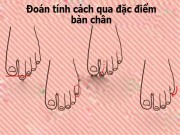 Eva Yêu - Đoán tính cách của bạn qua đặc điểm bàn chân