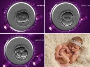 Bà bầu - Hành trình kỳ diệu của em bé được sinh ra từ ‘ống nghiệm’