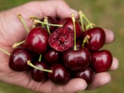 Nhà đẹp - Mách bạn cách trồng cherry sai trĩu quả tại nhà