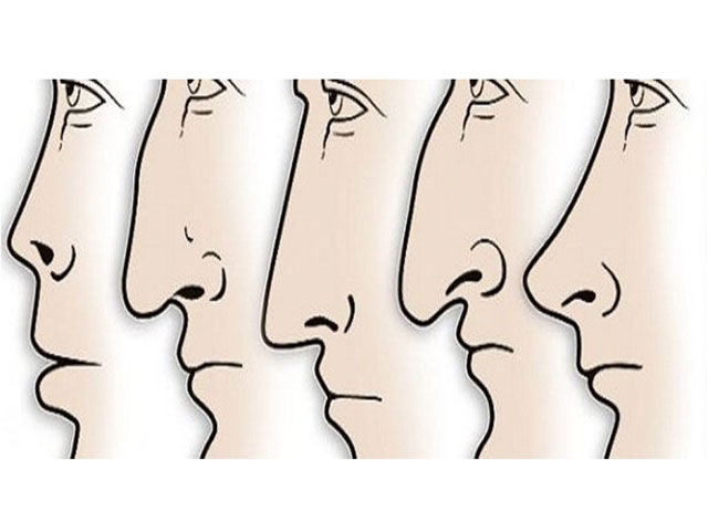 Hình dáng mũi bật mí gì về tính cách của bạn?