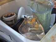 Nhà đẹp - Mẹo hay rửa sạch máy xay trong 30 giây