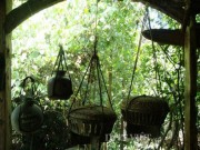 Nhà đẹp - Độc đáo “khu vườn ký ức”…