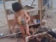 Tin tức - Chile: Bé 2 tuổi sống sót nhờ được chó cho bú