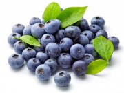 Sức khỏe - Có thể chữa nha chu từ trái việt quất