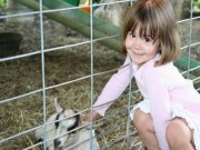 Sức khỏe - Tại sao trẻ nông thôn ít bị suyễn, dị ứng?