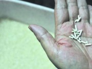 Tin tức - Kinh hãi phát hiện gạo giả làm bằng giấy ở Trung Quốc