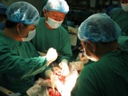 Tin tức - Những hình ảnh lần đầu công bố về ca ghép tạng xuyên Việt