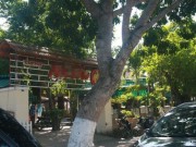 Tin tức - Thất nghiệp vẫn "nổ" mình là thiếu tá có thể “chạy án”