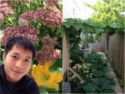 Nhà đẹp - Vườn mướp và bí của chàng trai Việt tại xứ sở Canada