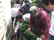 Tin tức - Đà Nẵng: Sốt xuất huyết vào mùa