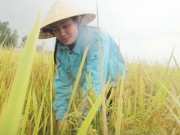 Tin tức - Gập ghềnh đường vào đại học của cô thủ khoa khối C