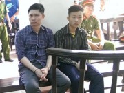Tin tức - Xử vụ TMV Cát Tường: Y án sơ thẩm, bác sĩ ném xác bật khóc
