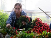 Tin tức - Chợ hoa Tây Tựu nhộn nhịp ngày cuối tháng