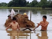 Tin tức - Mưa lớn ở Bắc Trung Bộ, 8 người chết