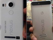 Eva Sành điệu - Điện thoại Nexus mới của Google có tên Nexus 5X và Nexus 6P