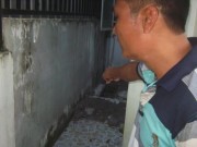 Tin tức - Cha giết con 5 tuổi, chôn xác ngay trong nhà