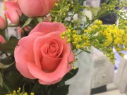 Eva Sành điệu - Những hình ảnh chụp từ iPhone 6S Plus tại Việt Nam