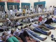 Tin tức - 20 trường hợp tử vong vì ngộ độc thực phẩm trong 9 tháng