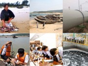 Tin tức - Quá trình truy tìm nguyên nhân cá chết ở vùng biển miền Trung