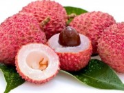 Tin tức - Thực hư thông tin ăn vải thiều dễ bị bệnh viêm não Nhật Bản