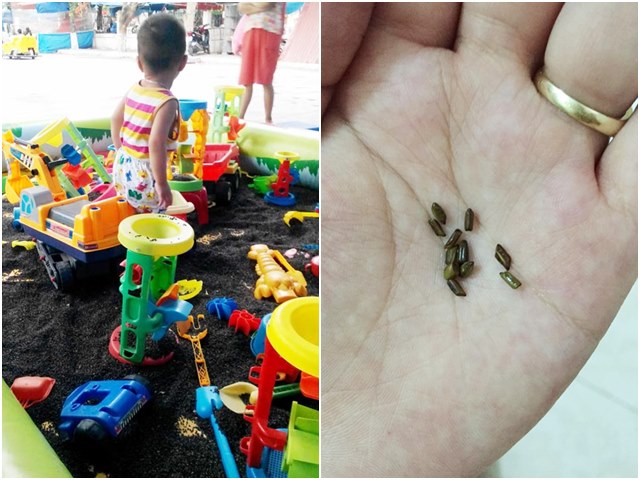Chơi xúc cát, bé 4 tuổi suýt bị thủng màng nhĩ