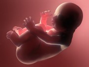 Bà bầu - Tại sao thai nhi hay “làm phiền” mẹ vào ban đêm?