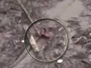 Clip Eva - Video: Nghẹt thở cứu sống người phụ nữ chới với trong dòng nước lũ